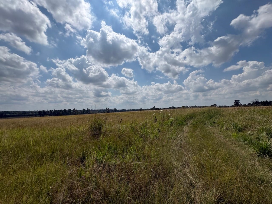 0 Bedroom Property for Sale in Vaalpark Free State